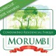 morumbi